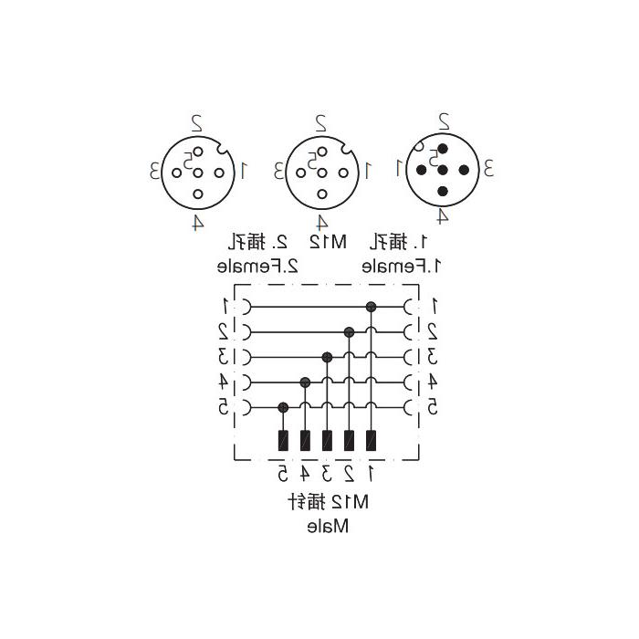 M12 5Pin公头/2M12 5Pin母头、Y型插接器、645551